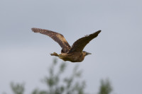 Marston Vale Country Park